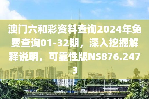 澳门六和彩资料查询2024年免费查询01-32期，深入挖掘解释说明，可靠性版NS876.2473