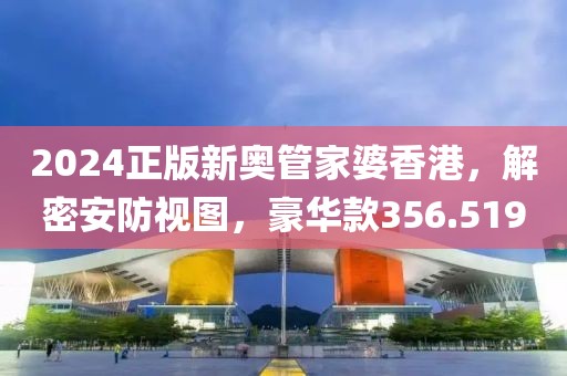 2024正版新奥管家婆香港，解密安防视图，豪华款356.519