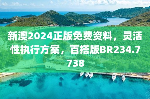 新澳2024正版免费资料，灵活性执行方案，百搭版BR234.7738
