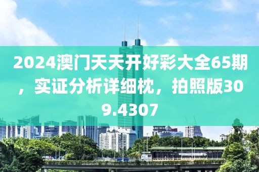 2024澳门天天开好彩大全65期，实证分析详细枕，拍照版309.4307