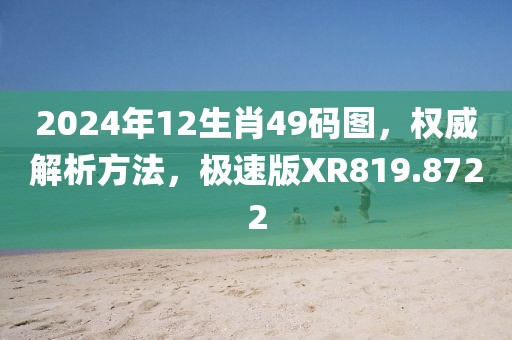 2024年12生肖49码图，权威解析方法，极速版XR819.8722