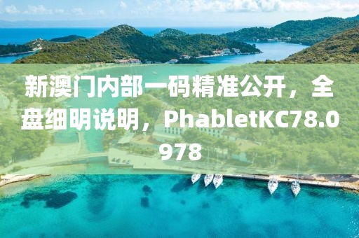 新澳门内部一码精准公开，全盘细明说明，PhabletKC78.0978