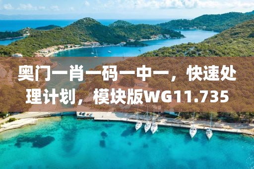奥门一肖一码一中一，快速处理计划，模块版WG11.735