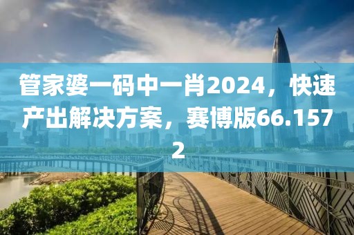 管家婆一码中一肖2024，快速产出解决方案，赛博版66.1572