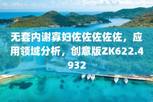 无套内谢寡妇佐佐佐佐佐，应用领域分析，创意版ZK622.4932
