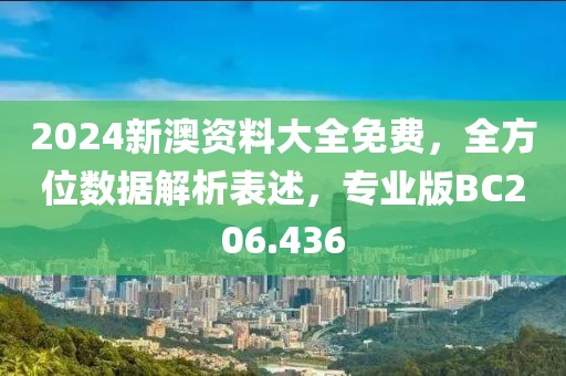 2024新澳资料大全免费，全方位数据解析表述，专业版BC206.436