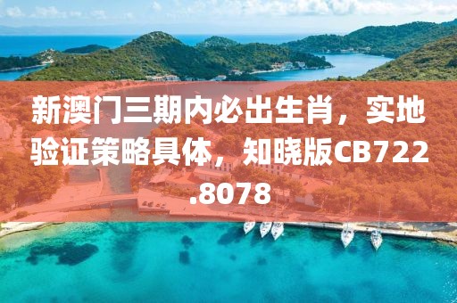 新澳门三期内必出生肖，实地验证策略具体，知晓版CB722.8078