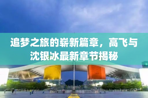 追梦之旅的崭新篇章，高飞与沈银冰最新章节揭秘