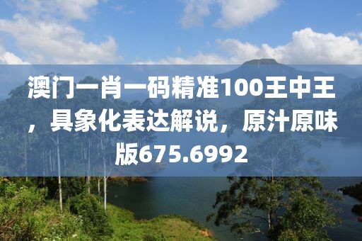澳门一肖一码精准100王中王，具象化表达解说，原汁原味版675.6992