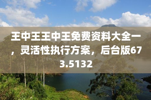 王中王王中王免费资料大全一，灵活性执行方案，后台版673.5132