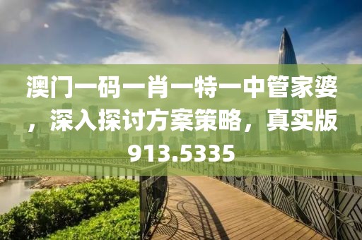 澳门一码一肖一特一中管家婆，深入探讨方案策略，真实版913.5335