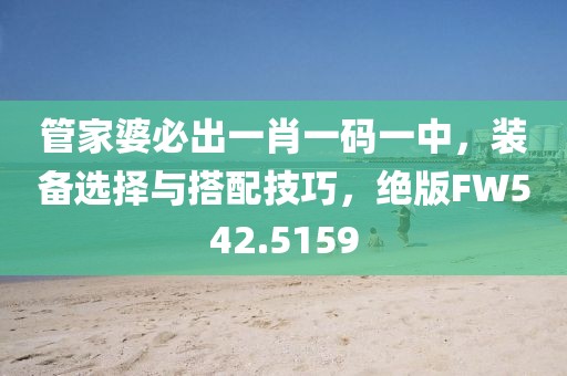 管家婆必出一肖一码一中，装备选择与搭配技巧，绝版FW542.5159