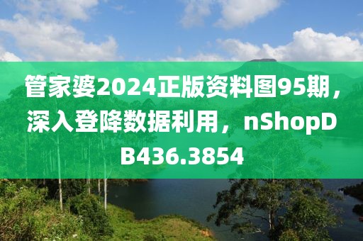 管家婆2024正版资料图95期，深入登降数据利用，nShopDB436.3854