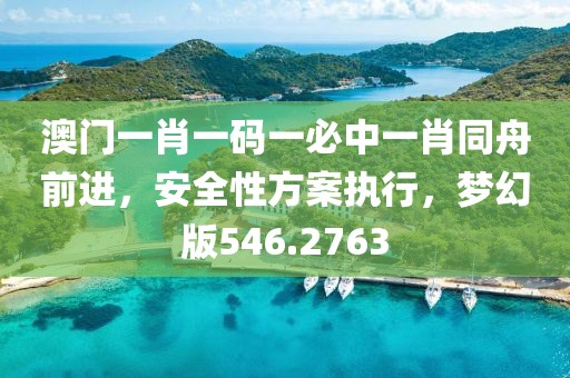 澳门一肖一码一必中一肖同舟前进，安全性方案执行，梦幻版546.2763
