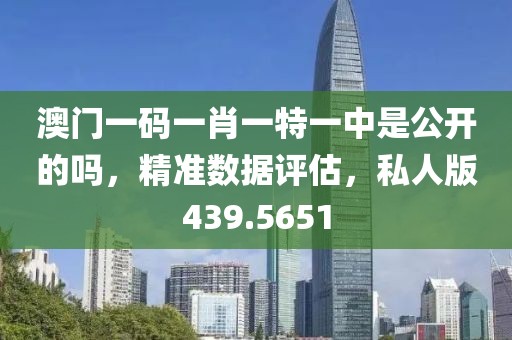 澳门一码一肖一特一中是公开的吗，精准数据评估，私人版439.5651