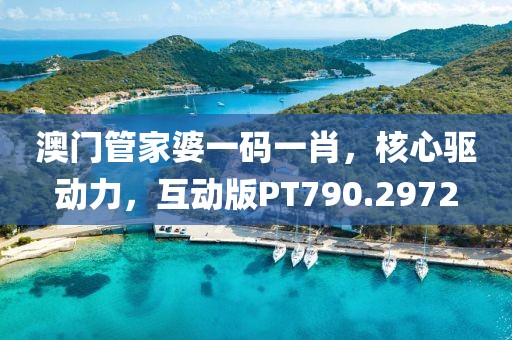澳门管家婆一码一肖，核心驱动力，互动版PT790.2972