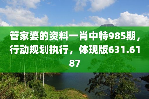 管家婆的资料一肖中特985期，行动规划执行，体现版631.6187