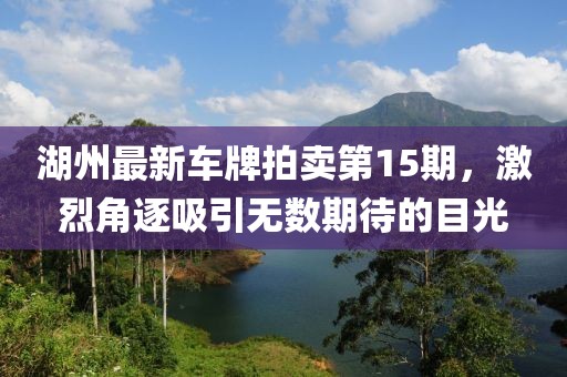 湖州最新车牌拍卖第15期，激烈角逐吸引无数期待的目光