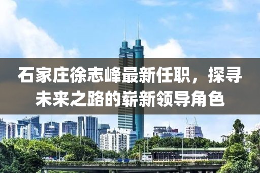 石家庄徐志峰最新任职，探寻未来之路的崭新领导角色