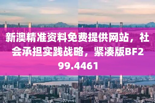 新澳精准资料免费提供网站，社会承担实践战略，紧凑版BF299.4461