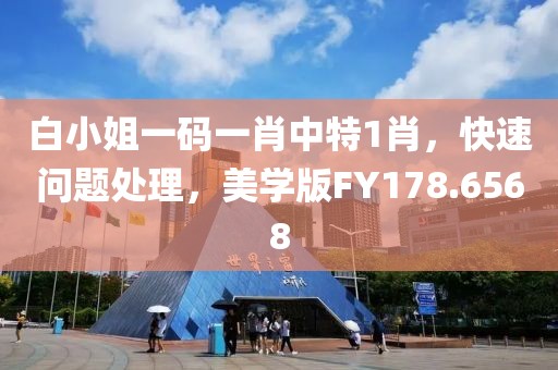 白小姐一码一肖中特1肖，快速问题处理，美学版FY178.6568