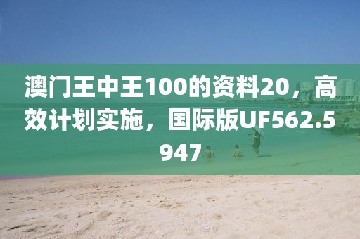 澳门王中王100的资料20，高效计划实施，国际版UF562.5947