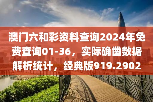 澳门六和彩资料查询2024年免费查询01-36，实际确凿数据解析统计，经典版919.2902