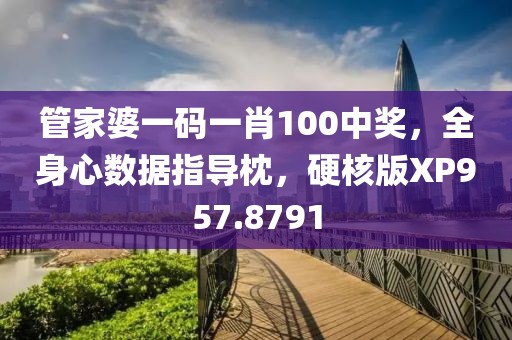 管家婆一码一肖100中奖，全身心数据指导枕，硬核版XP957.8791