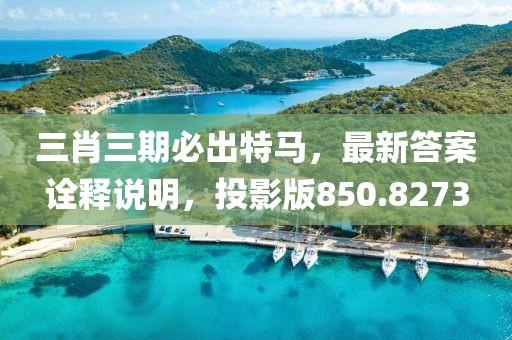 三肖三期必出特马，最新答案诠释说明，投影版850.8273
