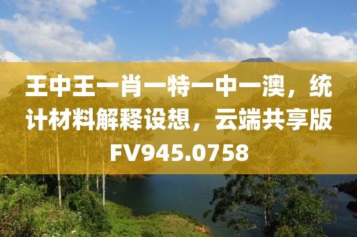 王中王一肖一特一中一澳，统计材料解释设想，云端共享版FV945.0758