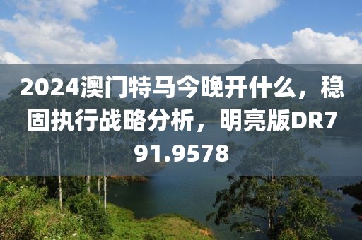 2024澳门特马今晚开什么，稳固执行战略分析，明亮版DR791.9578