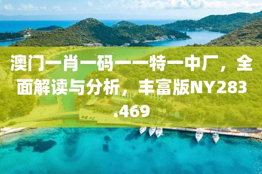 澳门一肖一码一一特一中厂，全面解读与分析，丰富版NY283.469
