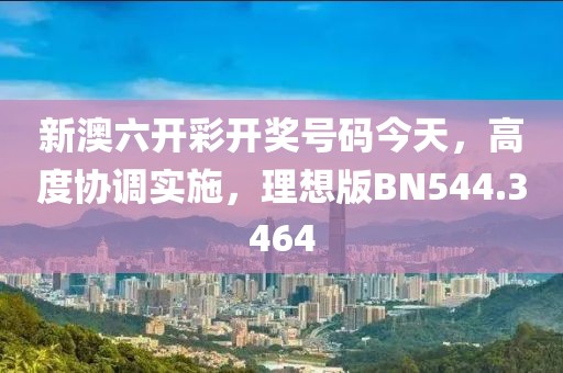 新澳六开彩开奖号码今天，高度协调实施，理想版BN544.3464