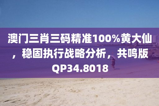 澳门三肖三码精准100%黄大仙，稳固执行战略分析，共鸣版QP34.8018