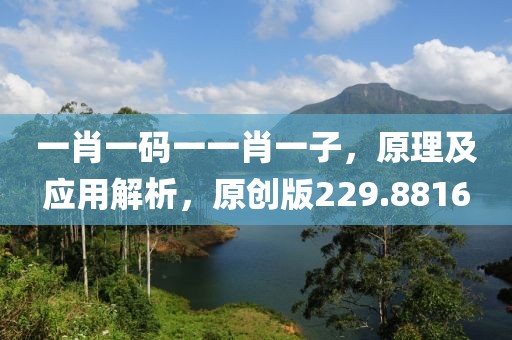 一肖一码一一肖一子，原理及应用解析，原创版229.8816