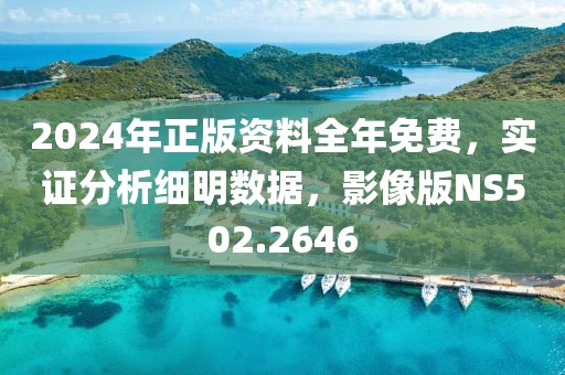 2024年正版资料全年免费，实证分析细明数据，影像版NS502.2646