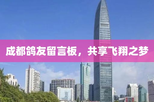 成都鸽友留言板，共享飞翔之梦