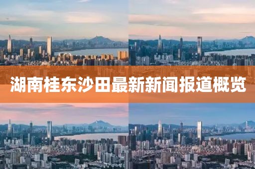 湖南桂东沙田最新新闻报道概览