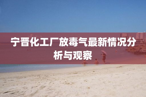 宁晋化工厂放毒气最新情况分析与观察
