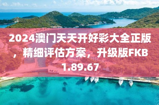 2024澳门天天开好彩大全正版，精细评估方案，升级版FKB1.89.67