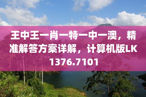 王中王一肖一特一中一澳，精准解答方案详解，计算机版LK1376.7101
