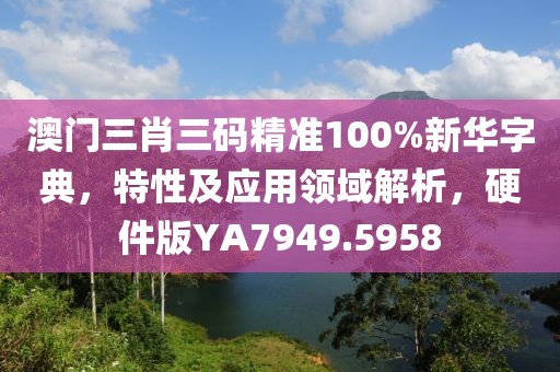 澳门三肖三码精准100%新华字典，特性及应用领域解析，硬件版YA7949.5958