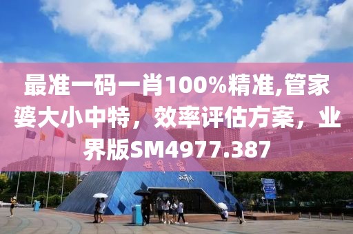 最准一码一肖100%精准,管家婆大小中特，效率评估方案，业界版SM4977.387
