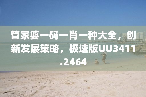 管家婆一码一肖一种大全，创新发展策略，极速版UU3411.2464