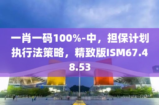 一肖一码100%-中，担保计划执行法策略，精致版ISM67.48.53