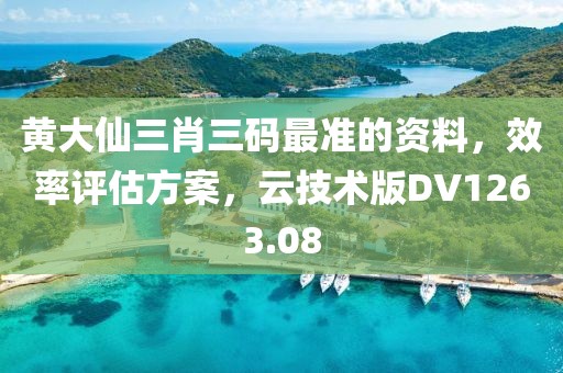 黄大仙三肖三码最准的资料，效率评估方案，云技术版DV1263.08