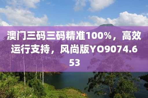 澳门三码三码精准100%，高效运行支持，风尚版YO9074.653