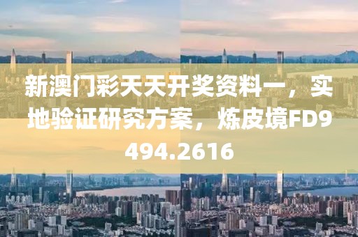 新澳门彩天天开奖资料一，实地验证研究方案，炼皮境FD9494.2616