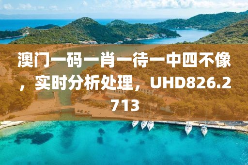 澳门一码一肖一待一中四不像，实时分析处理，UHD826.2713
