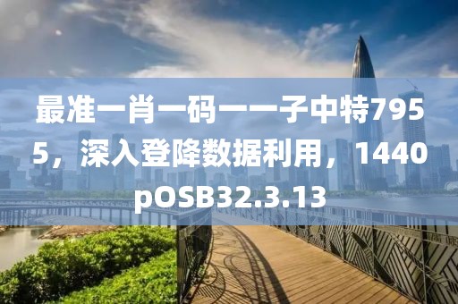 最准一肖一码一一子中特7955，深入登降数据利用，1440pOSB32.3.13